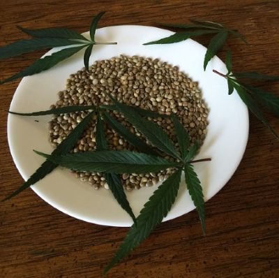 semillas de cannabis